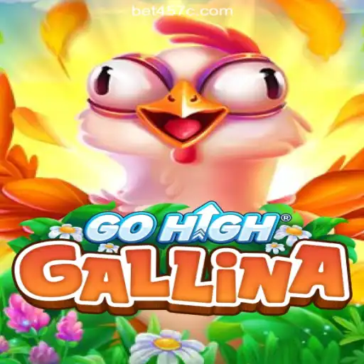 Discover GoHighGallina: The Premier Choice for Online Slots in Brazil on 457c.com